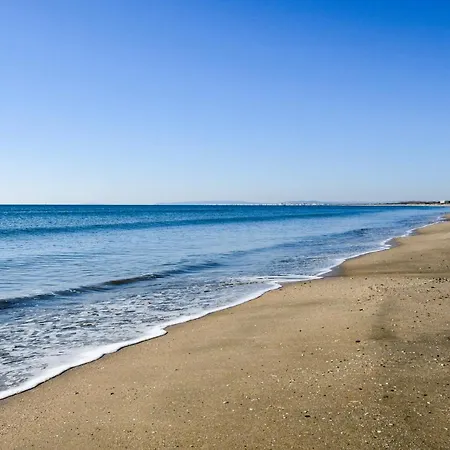 La Perle Du Port * Terrasse * Clim * à 5 Min * *