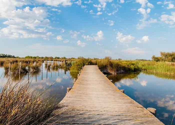 Apartamento La Perle Du Port * Terrasse * Clim * à 5 Min * * Carnon-Plage